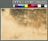 藏品(雅浦島 Yap 的街景)的圖片